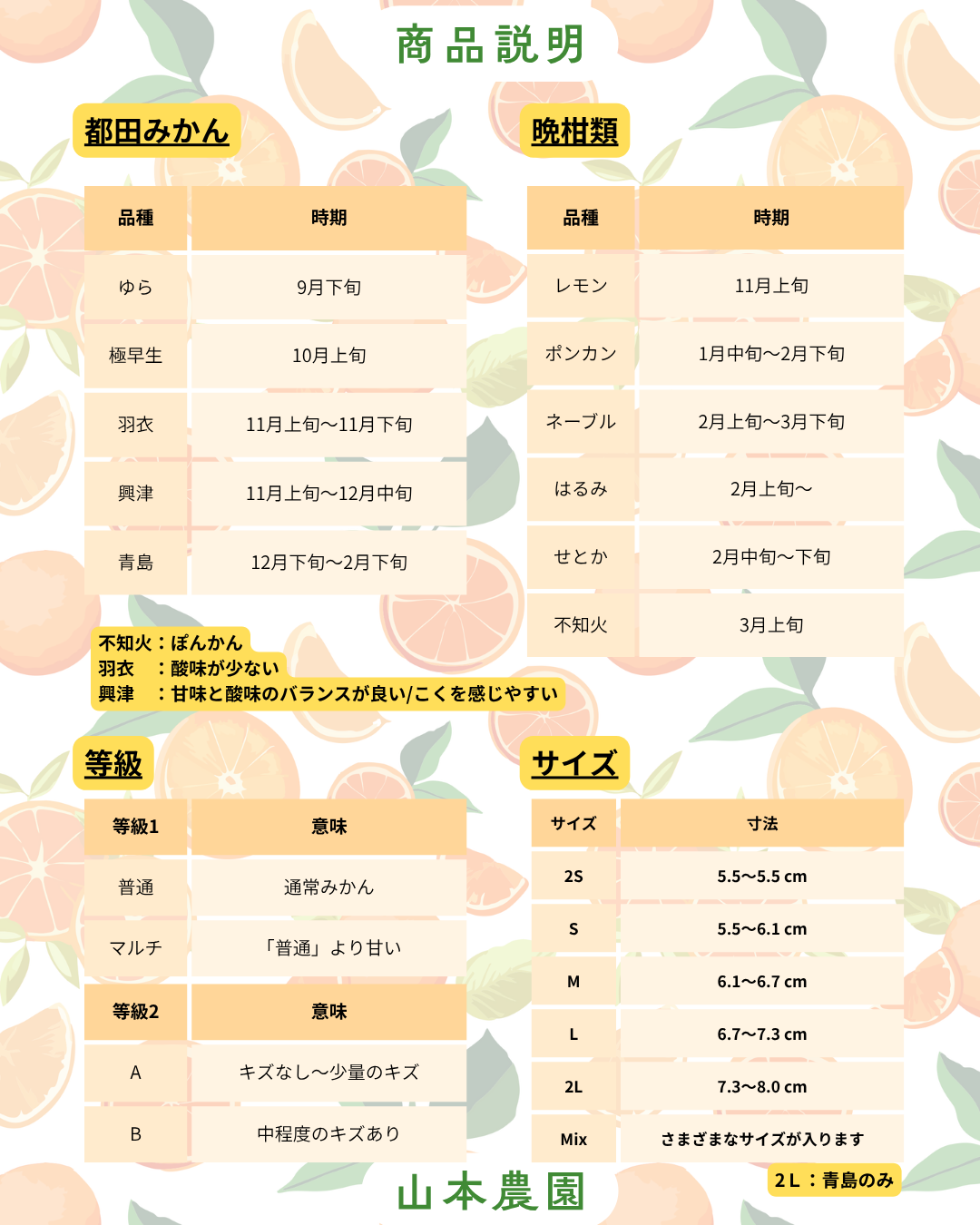 商品説明
